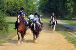 Horse Riding in Hyde Park