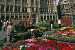 Rail Tour to Brussels from London by Eurostar