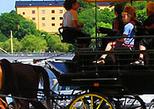 Horse and Carriage in the Old Town