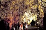 Auckland to Rotorua via Waitomo Glowworm Caves One-Way Tour