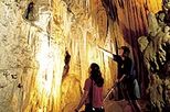 The Waitomo Glowworm Caves and Rotorua Day Experience