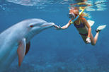 Cancun Dolphin Swim Adventure
