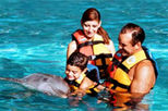 Riviera Maya Dolphin Encounter Program