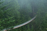 Vancouver North Shore Day Trip with Capilano Suspension Bridge and Grouse Mountain