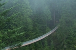 Vancouver North Shore Minibus Tour