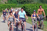 Wine Tasting Bike Tour departing Vienna
