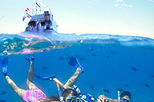 Oahu Tropical Ocean Fun Cruise