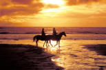 Ocho Rios Shore Excursion: Heritage Beach Horse Ride