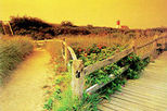 cape cod foliage tour
