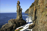 Bruny Island Wilderness Coast Tour from Hobart including Lunch