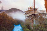 Huon Valley and Tahune Forest Airwalk Tour from Hobart