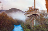 Huon Valley and Tahune Forest Airwalk Tour from Hobart