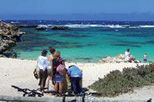 Rottnest Island Day Trip from Perth