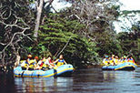 Corobici Nature Float
