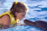 Swimming with Dolphins in Cozumel