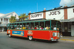 5% Off Key West Hop-On Hop-Off Trolley Tour by Viator