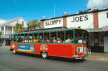 5% Off Key West Hop-On Hop-Off Trolley Tour