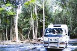 Cooktown 4WD Adventure Tour from Cairns or Port Douglas