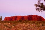 Best of Ayers Rock Sunset Uluru and Sunrise Kata Tjuta Small Group Tours