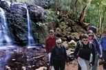 Blue Mountain Small-Group Day Hikes from Sydney