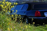 Napa Valley Wine Country Semi-Private Limo Tour