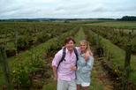 Private Tour: Wine-Tasting Tour from Montevideo