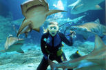 Special Offer: Sunshine Coast UnderWater World Entrance Ticket with Shark Dive Xtreme by Viator