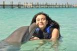 Save 15%: Private Island Dolphin Swim from Nassau by Viator