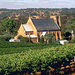Clare Valley Private Wine Tour
