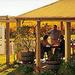 McLaren Vale Private Wine Tour

