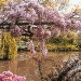 Giverny and Monet's Home
