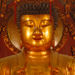 Best of Shanghai Day Tour including Jade Buddha Temple and The Bund, Shanghai, from Viator.com