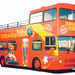 Belfast City Hop On Hop Off Tour
