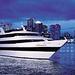 Boston Dinner Cruise