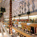 Shop and Dine: NorthPark Center, Dallas
