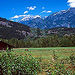 Callaghan Explorer from Whistler, Whistler, from Viator.com