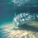 2 Day Tangalooma Resort and Dolphin Feeding Tour