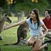 Best of Brisbane Full-Day Sightseeing Tour
