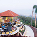 Brisbane Afternoon City Tour including Lone Pine Koala Sanctuary and Mt Coot-tha