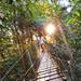 O'Reilly's Lamington National Park and Tree Top Canopy Tour