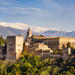 5% Off Private Granada Day Trip including Alhambra and Generalife Gardens from Malaga