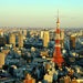 Dynamic Tokyo - Tokyo Tower, Tea Ceremony, Sumida River Cruise
