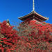 Kyoto 1-Day Sunrise Express Tour By Bullet Train from Tokyo, Tokyo, from Viator.com