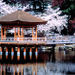 Kyoto and Nara Day Tour (From Osaka) - Golden Pavilion, Todaiji
