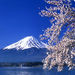 Mt Fuji and Hakone Day Tour from Tokyo: Return By Motorcoach, Tokyo, from Viator.com