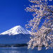 Mt Fuji, Hakone and Kyoto by Bullet Train from Tokyo, Tokyo, from Viator.com