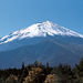 Mt Fuji, Hakone and Onsen 2-Day Tour from Tokyo: Return by Bullet Train, Tokyo, from Viator.com