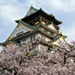 Osaka One Day Walking Tour including lunch and Osaka River Cruise