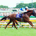 <p>Enjoy a full day at the Tokyo Fuchu races! You'll watch the races from your reserved seat in the