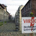Auschwitz - Birkenau Museum - UNESCO World Heritage Site Tour from Krakow
